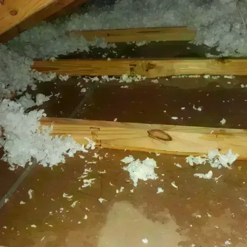 Attic Water Damage in Basehor, KS