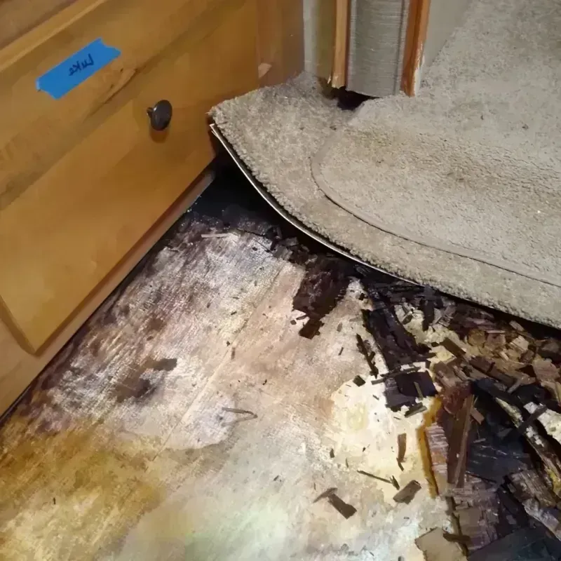 Wood Floor Water Damage in Basehor, KS